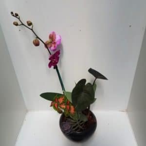 COMPOSITION ORCHIDEE 3 L